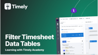 Filter Timesheet Data table Large