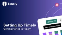 Setting Up Timely Video